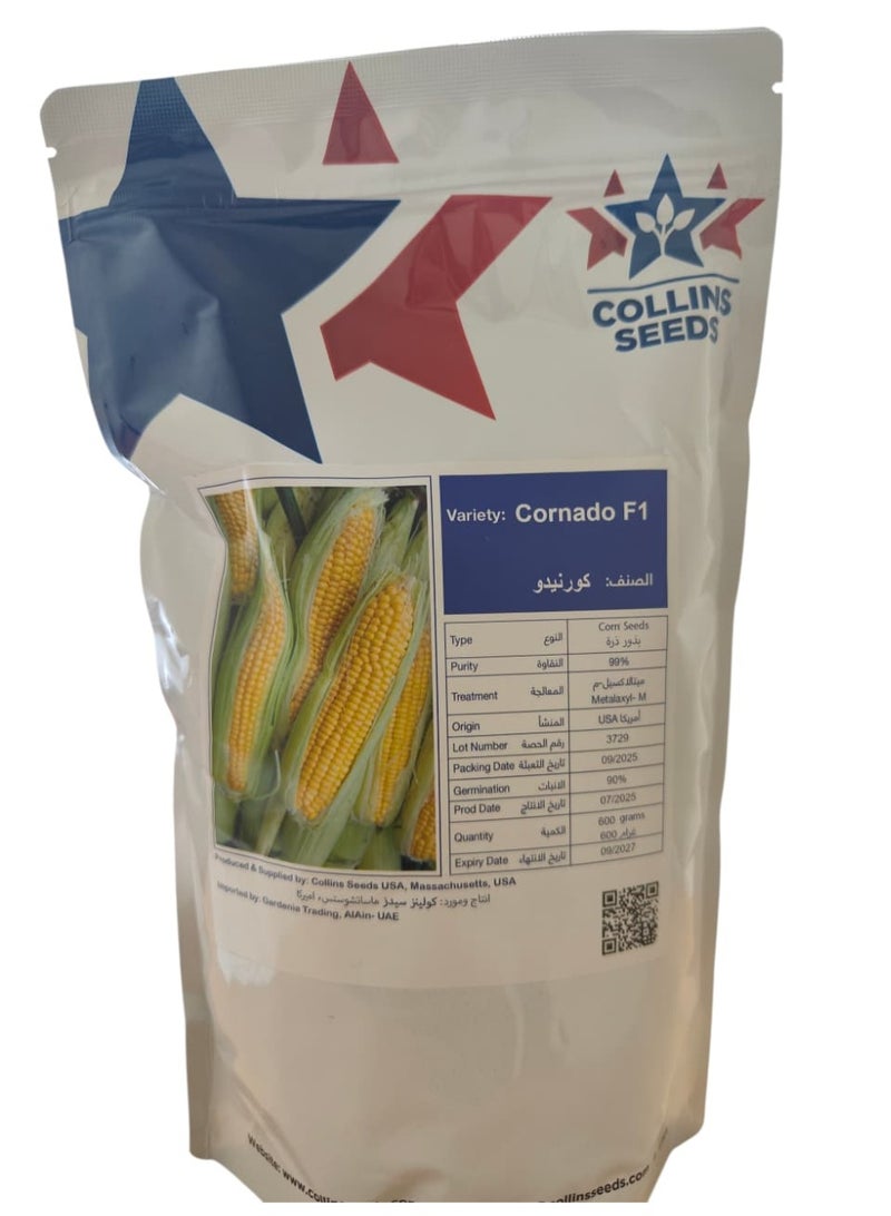 Sweet Corn seeds Cornado F1 Hybrid Quality Seeds/Suitable for UAE Climate/ for Planting Garden Yard/Made in USA